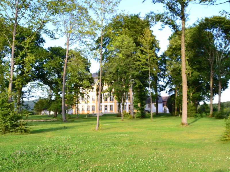 Schloss durch die Parkbäume